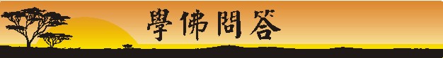 12.jpg (16425 bytes)