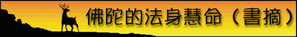 991111.gif (14236 bytes)
