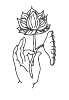 lotus1.gif (2562 bytes)